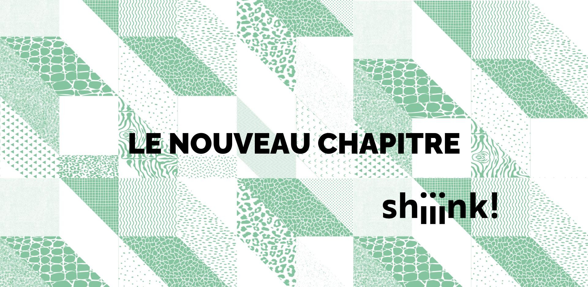 ShiiinkLenouveauchapitre